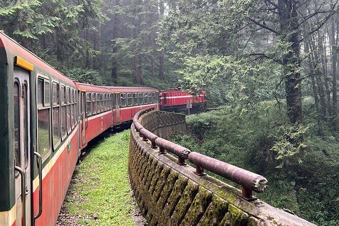 Alishan Day Tour from Chiayi (Incl. Park Entrance) - Chiayi to Alishan in one day: what the schedule feels like