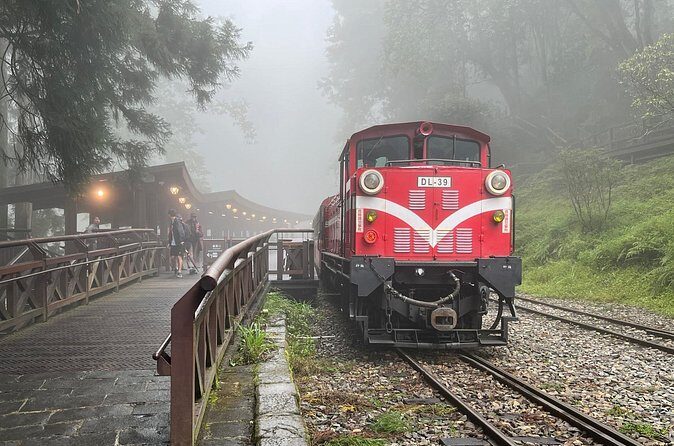 Alishan Day Tour from Chiayi (Incl. Park Entrance) - Guides make or break Alishan days: Mika and Cook-style pacing