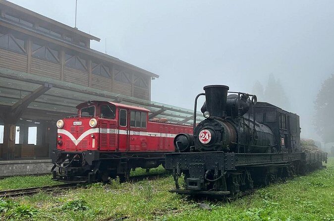 Alishan Day Tour from Chiayi (Incl. Park Entrance) - Who should book this Alishan day tour (and who might not)