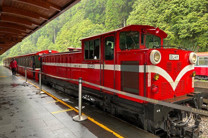 Alishan Day Tour from Chiayi (Incl. Park Entrance) - Timing, weather, and what to pack for a smoother day