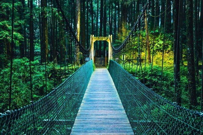 Alishan Join In Day Tour from Taichung (Incl. Park Entrance) - Key things to know before you go