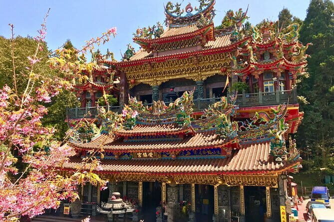 Alishan Join In Day Tour from Taichung (Incl. Park Entrance) - Value from Taichung: why this one-day format works (and who it suits)