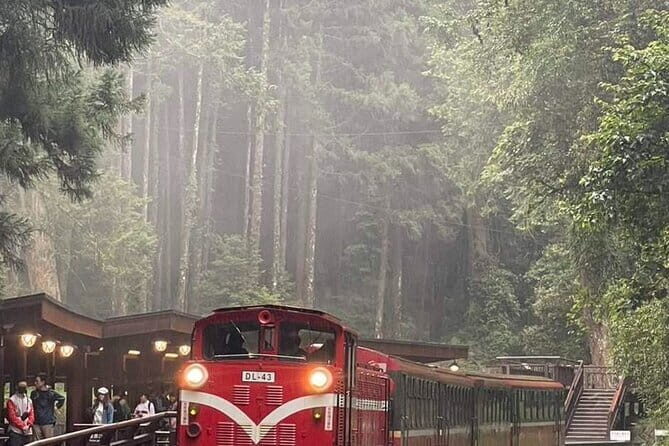 Alishan One Day Tour from Taichung - Alishan One Day From Taichung: The Big Views Start With 7:30