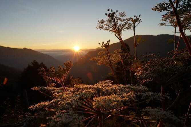 Alishan One Day Tour from Taichung - How Much Time You Actually Get at Alishan (and How to Use It)
