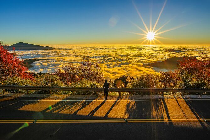 Exclusive 3-Day Sun Moon Lake & Alishan Private Tour - Key highlights you will feel fast