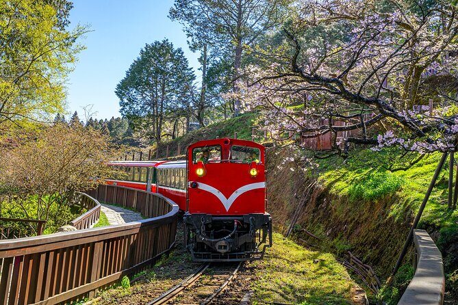 Exclusive 3-Day Sun Moon Lake & Alishan Private Tour - Why this Sun Moon Lake + Alishan plan works in 3 days