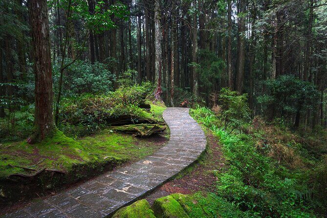 Exclusive 3-Day Sun Moon Lake & Alishan Private Tour - Price and value: what $1,110 per person actually includes