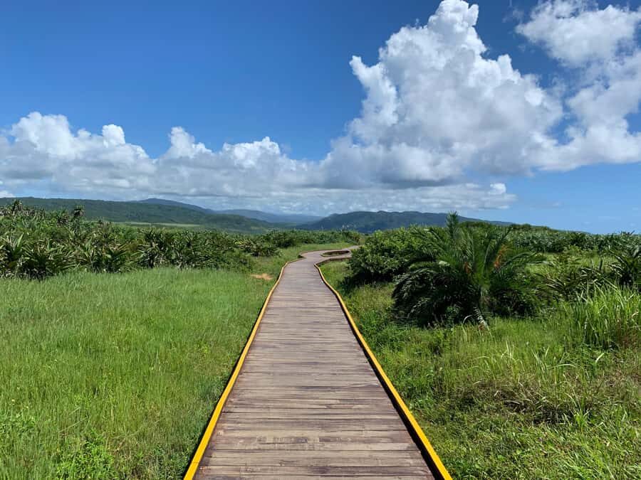 From Kaohsiung: Kenting & Ocean Coast Private Day Tour - A coastal break for photos, stretching, and a real reset