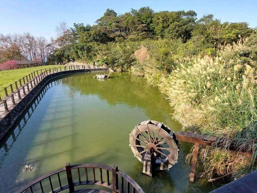 From Taipei: Pinglin Tea Culture and Maokong Guided Day Tour - Price and value: is $65 a fair deal for 9 hours?