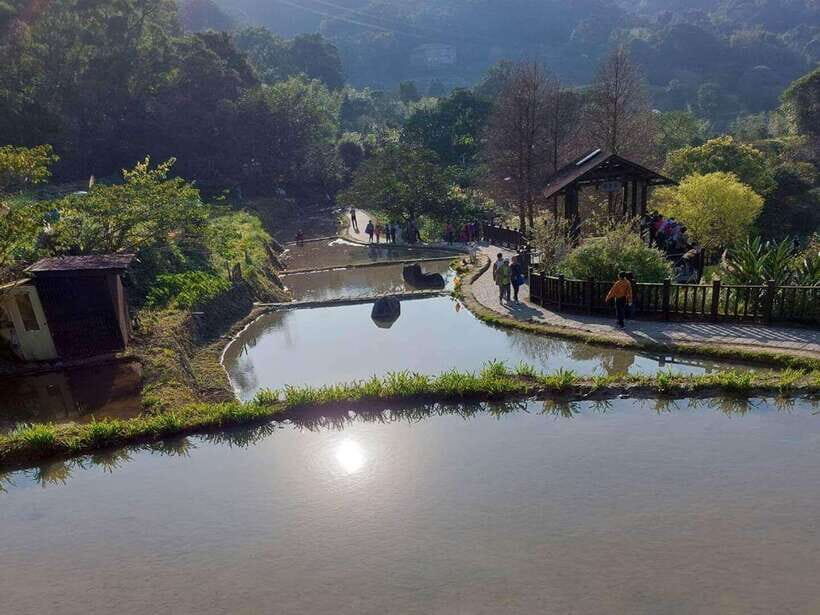 From Taipei: Pinglin Tea Culture and Maokong Guided Day Tour - Pinglin Tea Museum in Hokkien Siheyuan courtyard: tools and tea sets you can see