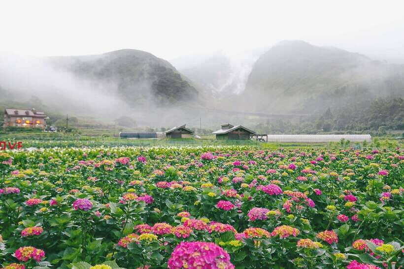 From Taipei: Private Yangmingshan Volcano and Nature Tour - Key things I’d plan around