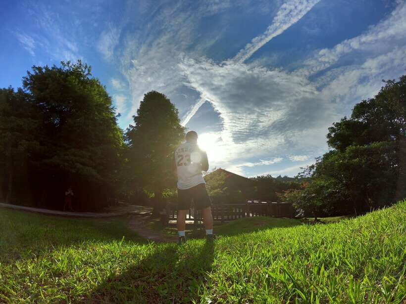 From Taipei: Private Yangmingshan Volcano and Nature Tour - Qingtiangang grassland hike: short effort, big payoff