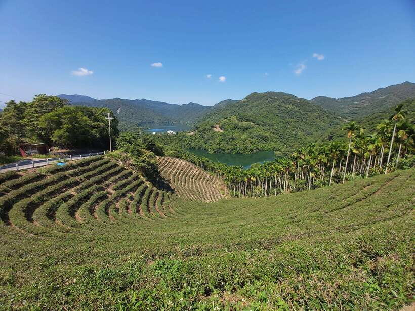 From Taipei: Thousand Island Lake and Pinglin Tea Plantation - Should you book Thousand Island Lake and Pinglin Tea Plantation?