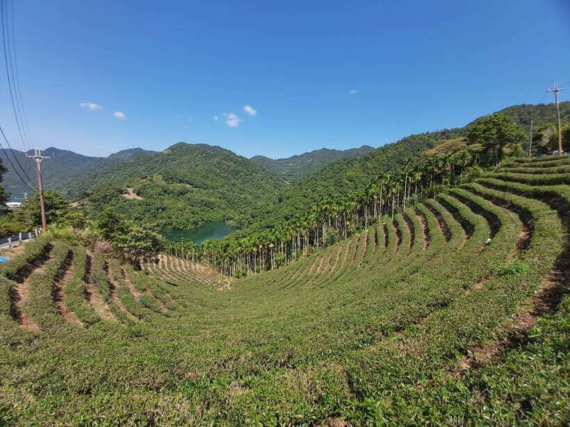 From Taipei: Thousand Island Lake and Pinglin Tea Plantation - From Taipei to Shiding: the winding drive that sets the tone