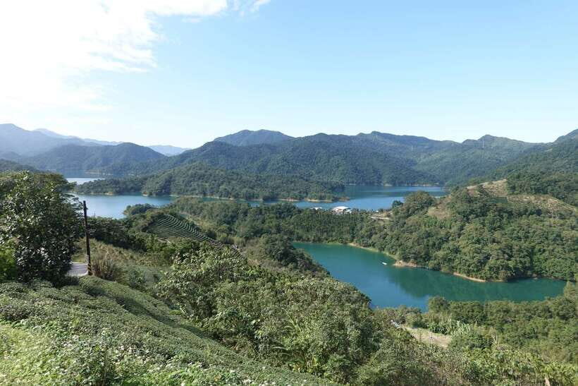 From Taipei: Thousand Island Lake and Pinglin Tea Plantation - Tea shop lesson + tasting: what you can actually repeat at home