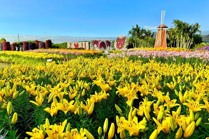 Gaomei Wetlands, Rainbow Village, Miyahara & Zhongshe from Taipei - Price and the Real Value Math (NT$150 Extra)