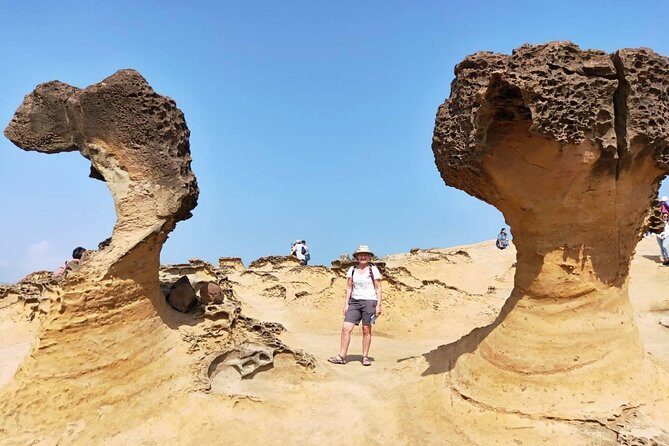 Half Day Private Tour to Yangmingshan National Park and Yehliu Geopark - Private Ride Out of Taipei: Pickup, Timing, and Comfortable Transit