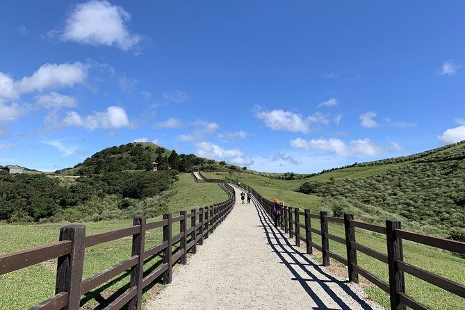 Half Day Private Tour to Yangmingshan National Park and Yehliu Geopark - Guides Who Can Pivot When Weather Turns Windy or Rainy