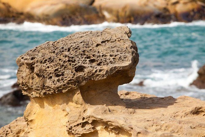 Half Day Private Tour to Yangmingshan National Park and Yehliu Geopark - Should You Book This Tour?