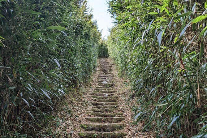 One Day Hike around Taipei's Yangmingshan National Park - Forest Walking Through Lengshuikeng Pond and Jingshan Bridge