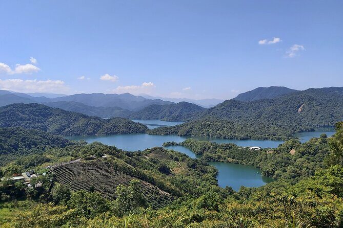 Pinglin Tea Culture & Maokong Day Tour from Taipei - Key Things to Know Before You Go