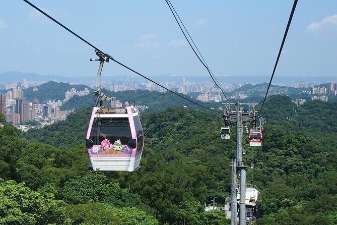 Pinglin Tea Culture & Maokong Day Tour from Taipei - The Tea Side of MaoKong: Time to Browse and Snack