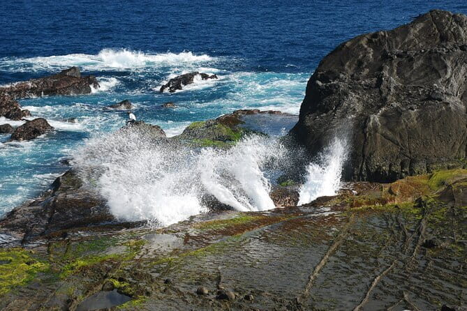 Private East Coast & Jade Hunting Day Tour with Local Expert - A private East Coast route that feels like more than sightseeing