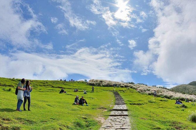 Private Yangmingshan & Beitou Tour from Taipei with Pickup - Key things that make this tour worth your time