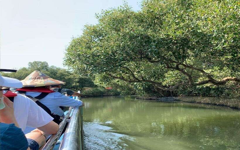 Tainan: Sicao Green Tunnel Scenic Boat Ride - Angel’s Kiss and the Green Eye: what to watch for