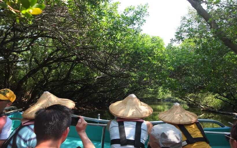 Tainan: Sicao Green Tunnel Scenic Boat Ride - Yu-Guang Pastry at the Milkfish Theme Pavilion: your sweet reward