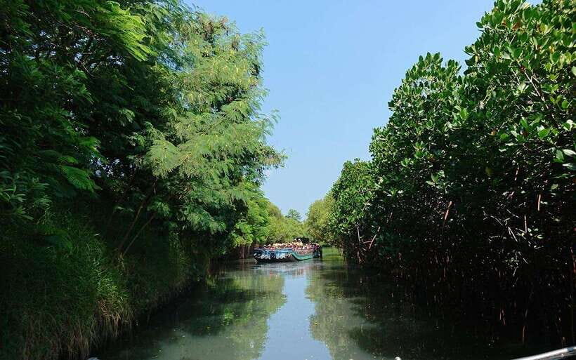 Tainan: Sicao Green Tunnel Scenic Boat Ride - The 30-minute Sicao Green Tunnel cruise on a tourist fishing raft