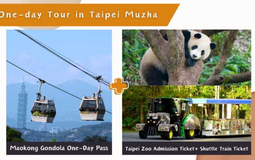 Taipei: Maokong Cable Car 1 day Pass - Tea Plantations and Teahouses: How to Spend Your Time Like a Local