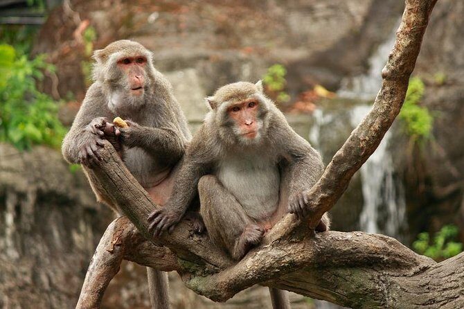 Taipei: Private Car Charter Tour - Key things to know before you book