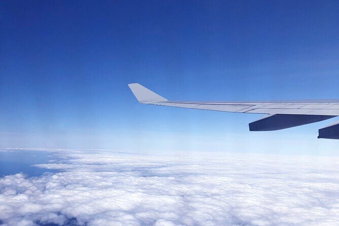 Taipei Touchdown: Make the Most of Your 6-Hour Layover - Key Highlights You’ll Care About