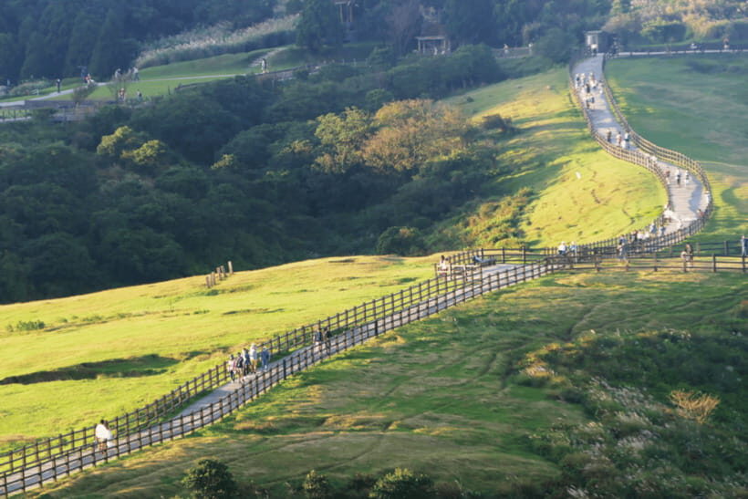 Taipei: Yangmingshan & Beitou Full-Day Tour - Price and Value: Why $73 Can Be a Good Deal for This Route