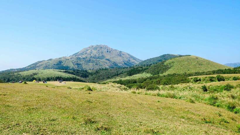 Taipei: Yangmingshan National Park Half-Day Tour - A Half-Day Escape From Taipei’s Streets