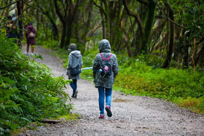 Taipei: Yangmingshan, Shifen, Jiufen & Yehliu Private Tour - Pacing, timing, and value: what $211 per person is really buying