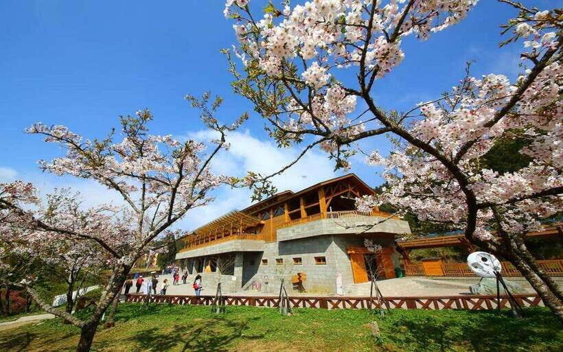 Taiwan: Alishan National Forest Recreation Area E-ticket - Key Highlights I’d Prioritize