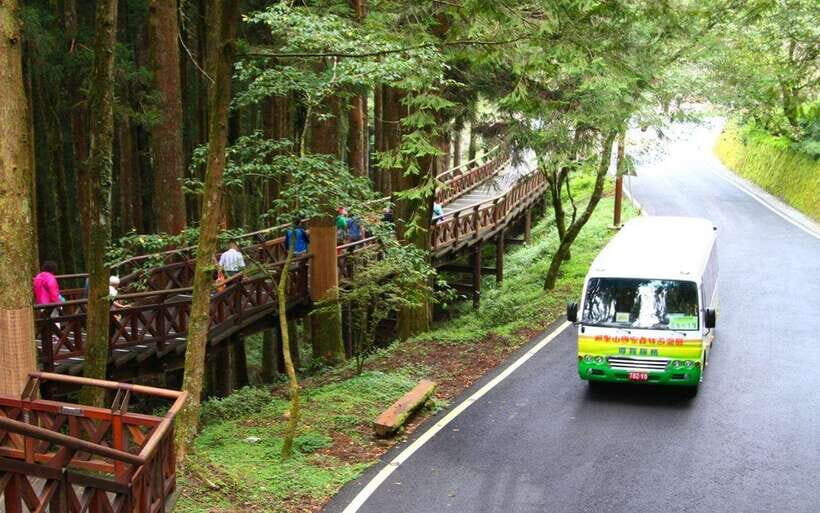 Taiwan: Alishan National Forest Recreation Area E-ticket - Seasonal Changes You Can Actually Notice: Spring, Summer, Fall, Winter