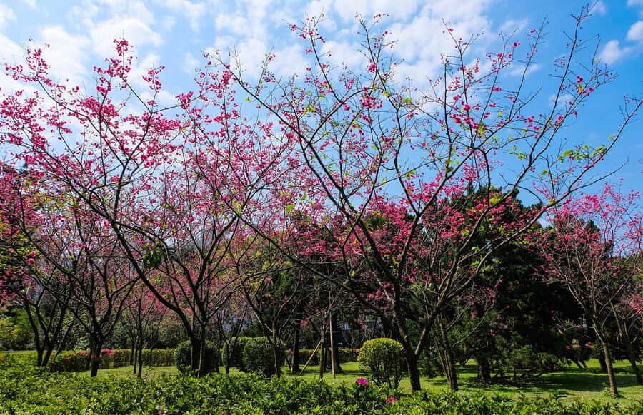 Taiwan Taipei: 8-Hour Customized Taipei City Exploration! - How the customized day actually runs in Taipei City