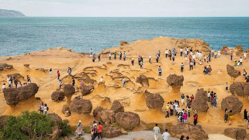 Taiwan Taipei: Customized Private Tour - Flexible Timing and How the Plan Changes Day-of