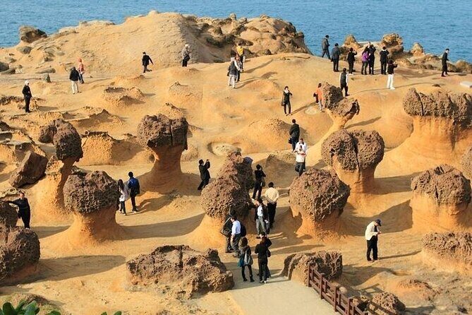 Taiwan TST: Private Tour Taipei Yehliu, Chaojing, Shifen, Jiufen - Yehliu Geopark: Queen’s Head and the sea-worn rock show