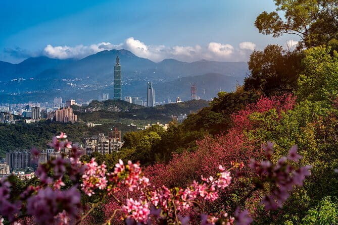 Vintage Taipei - Best of Taiwan & Sunset Walking Tour (Tip-based) - Price and tipping: the real value of a $5 tip-based tour