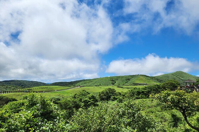 Yamingshan Volcano, Beitou Thermal Valley, Danshui Private Tour - A Private Taipei Day Trip That Mixes Steam, Wildflowers, and a Real Volcano